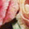 Предпросмотр схемы вышивки «rozu» (№1827910)