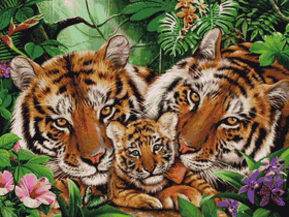 Тигриное семейство - водопад, розы, тигр - предпросмотр