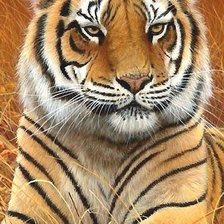 Оригинал схемы вышивки «тигр» (№1836370)