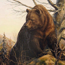 Оригинал схемы вышивки «медведь» (№1837288)