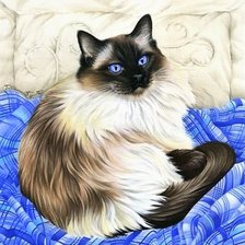 Оригинал схемы вышивки «голубоглазый кот» (№1837615)