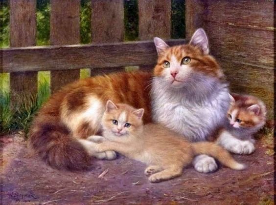 кошка с котятами - котята, кошка - оригинал
