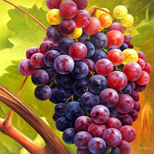 Сочный виноград