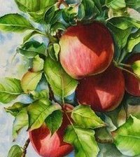 Оригинал схемы вышивки «яблоня» (№1840142)