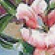 Предпросмотр схемы вышивки «цветы и калибри» (№1842086)
