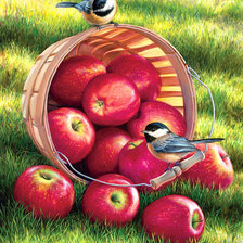 Оригинал схемы вышивки «птички и яблоки» (№1842601)