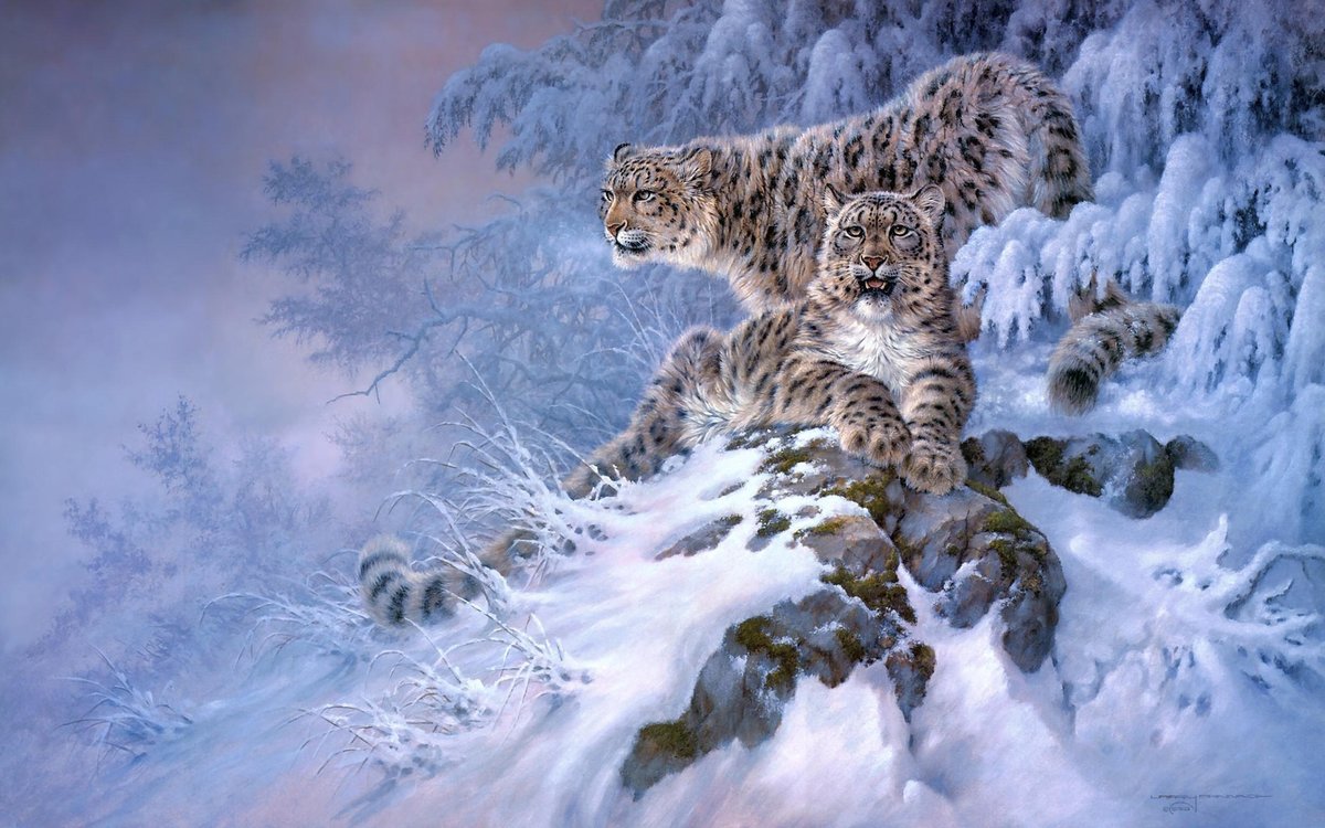 зимние леопарды - оригинал
