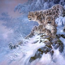 Схема вышивки «леопарды в снегу»