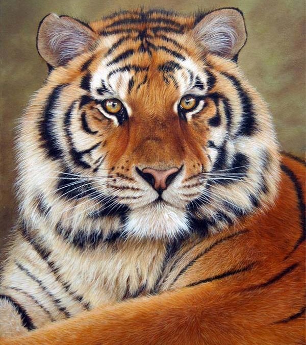 Тигр 2 - оригинал