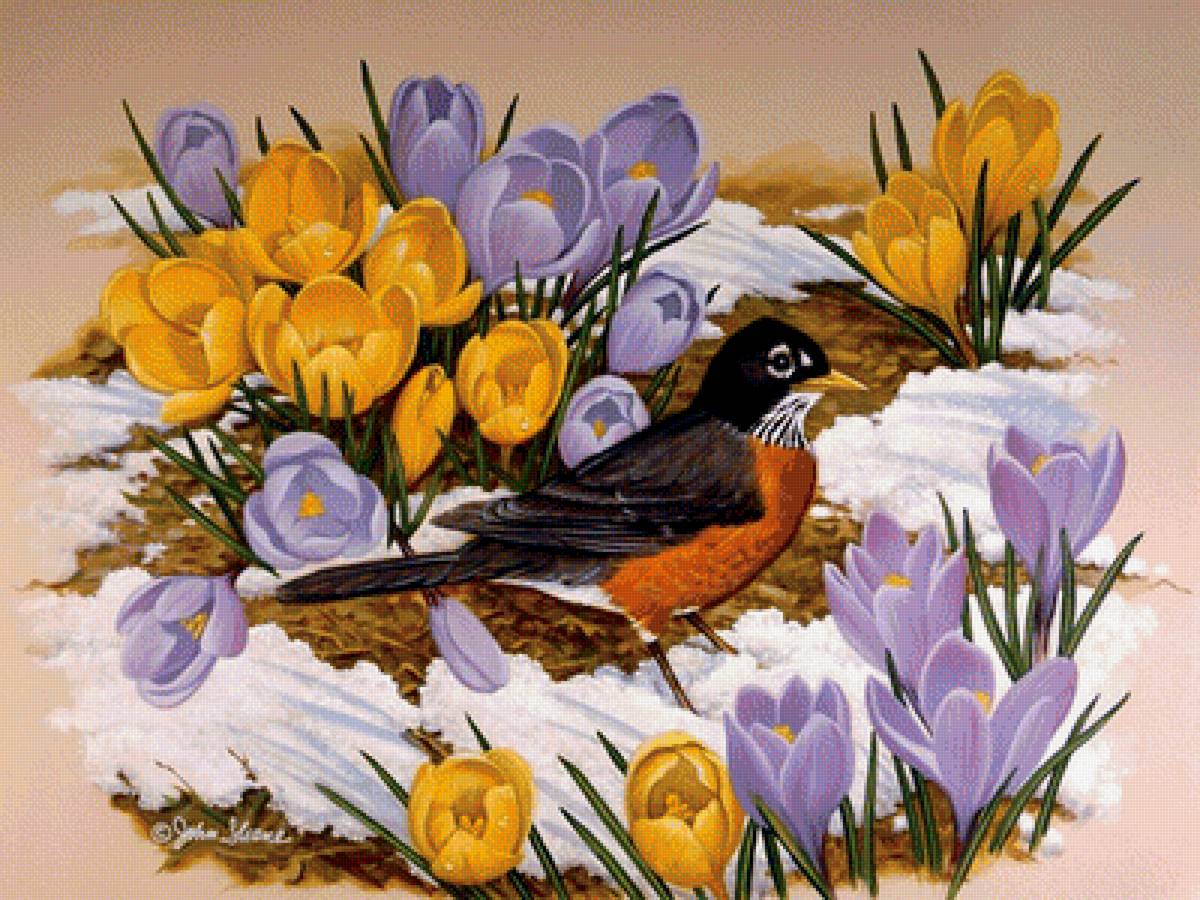 По картине Джона Фрэнча Слоана - птица, снег, цветы, крокусы - предпросмотр
