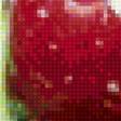 Предпросмотр схемы вышивки «ягода» (№1849655)