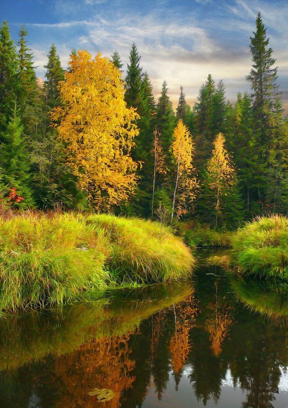 осень - лес, вода, деревья, природа, осень, отражение - оригинал