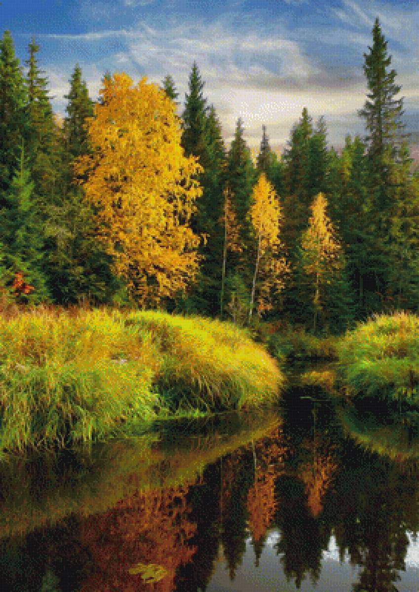 осень - вода, осень, природа, отражение, лес, деревья - предпросмотр