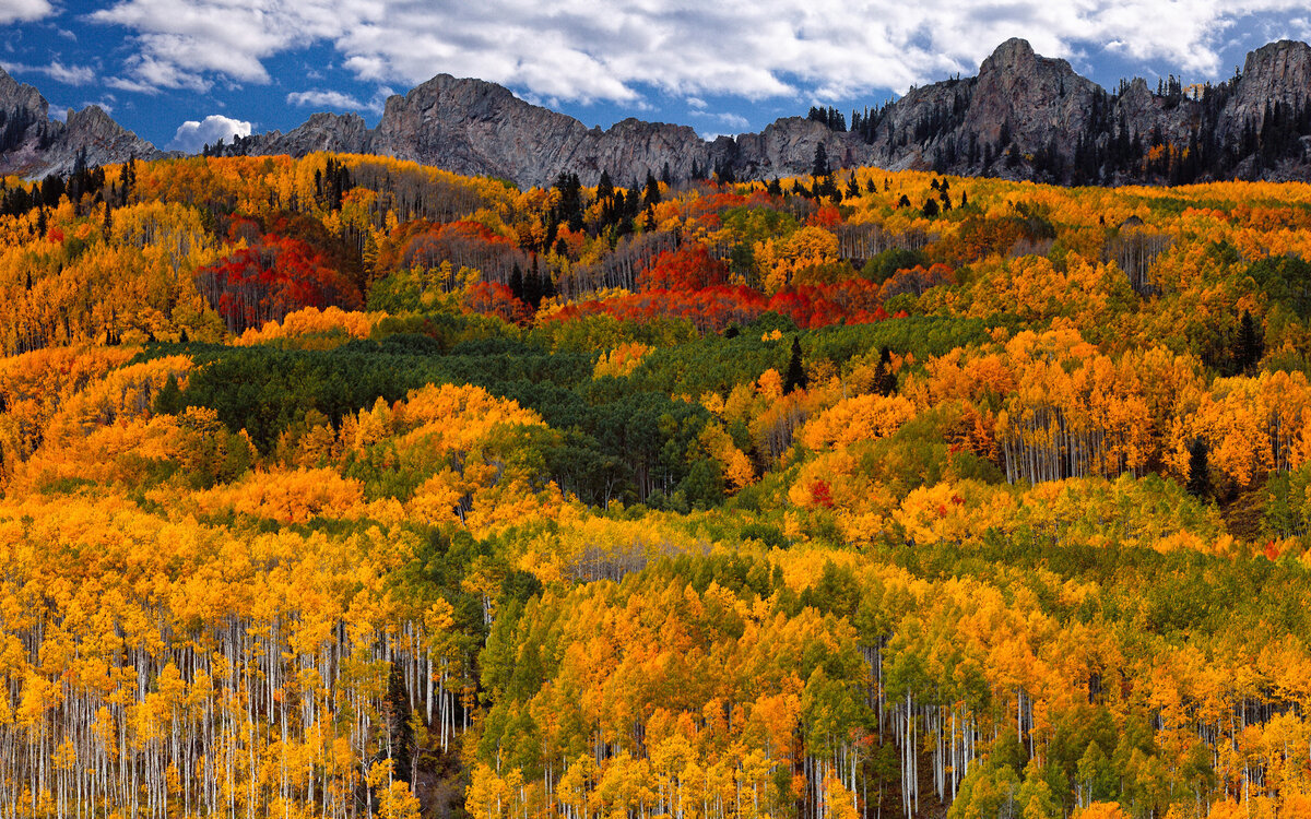 Осень в горах - деревья, осень, лес, горы - оригинал