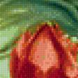 Предпросмотр схемы вышивки «Экзотические цветы 3» (№1852608)