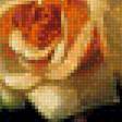 Предпросмотр схемы вышивки «Букет роз» (№1852847)