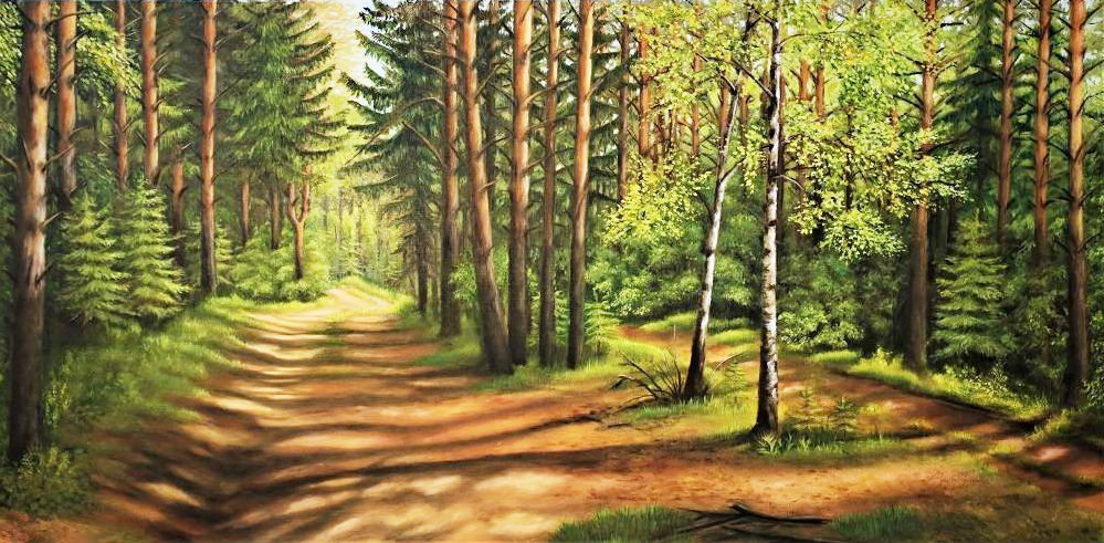 Лес - природа, дорога, деревья - оригинал