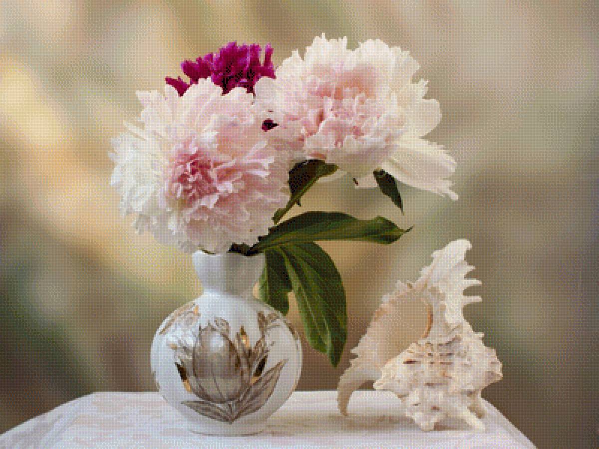 Цветы - пионы, натюрморт, букет, ваза, ракушка, цветы - предпросмотр