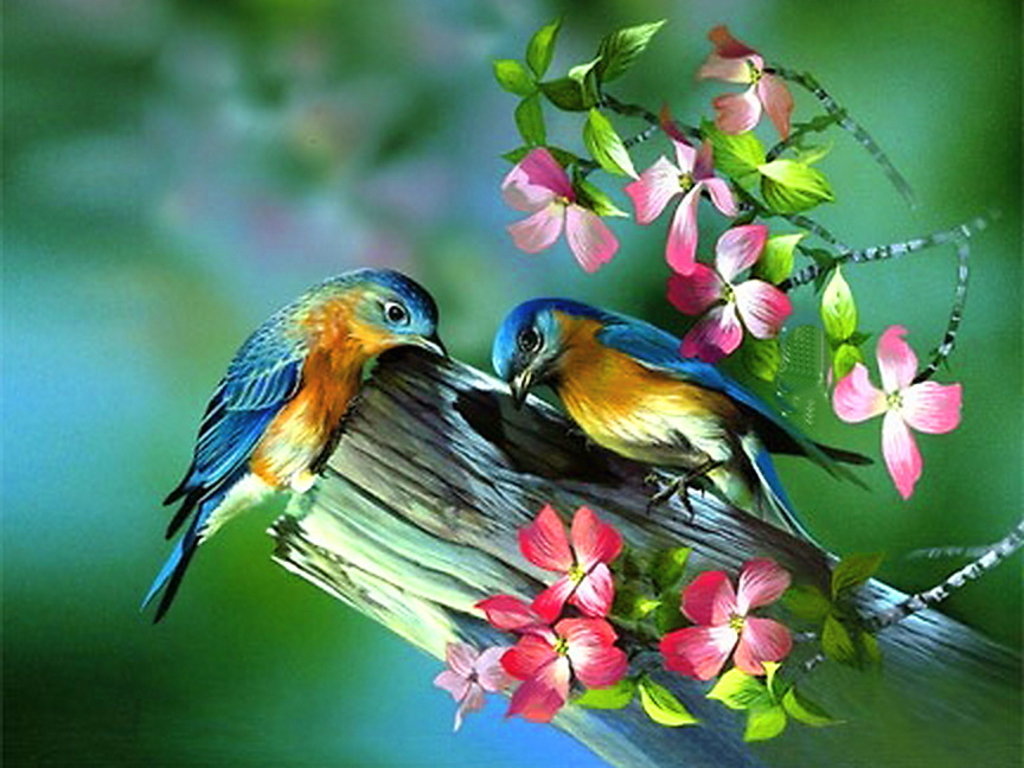 Птички - птицы, дерево, цветение, ветка, птички, цветы - оригинал