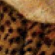 Предпросмотр схемы вышивки «Леопард» (№1857657)