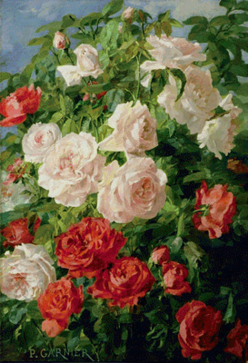 серия цветы: розы - букет, цветы, розы, картина - предпросмотр