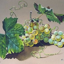 Оригинал схемы вышивки «виноград» (№1858578)