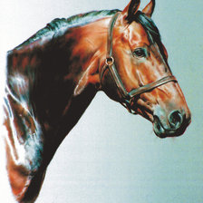 Оригинал схемы вышивки «серия лошадки» (№1858988)