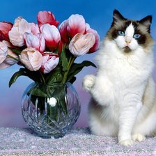 Оригинал схемы вышивки «Кот с тюльпанами» (№1859411)