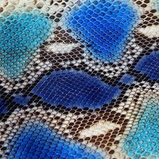 Оригинал схемы вышивки «Змея сине-голубая» (№1860560)