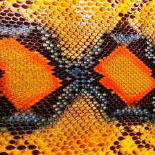 Оригинал схемы вышивки «Змея рыжая» (№1860567)