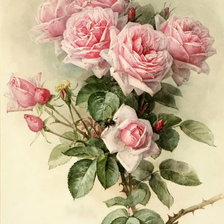 Оригинал схемы вышивки «Чайные розы» (№1861642)
