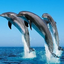 Схема вышивки «Дельфины в прыжке»