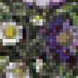 Предпросмотр схемы вышивки «Натюрморт, нежный букет, полевые цветы» (№1863223)