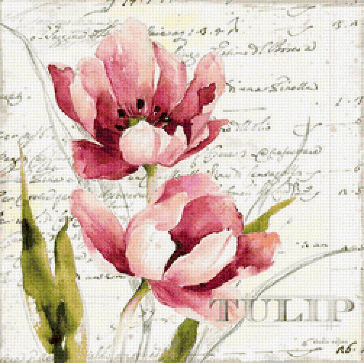 Акварельный тюльпан - цветок, тюльпан, зеленый, романтика, акварель, розовый, послание - предпросмотр