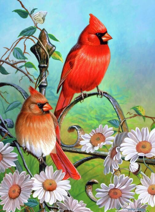 Птицы на изгороди - ромашки, изгородь, забор, птицы, цветы, живопись - оригинал