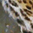 Предпросмотр схемы вышивки «ягуары» (№1864383)