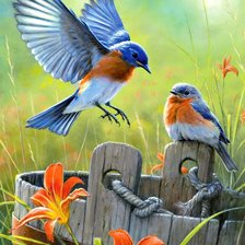 Синие птички