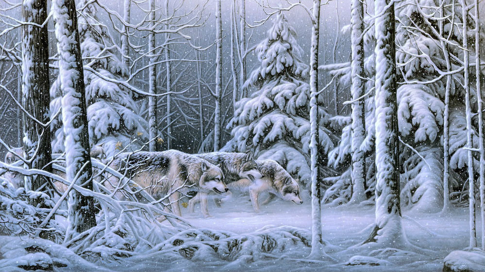 Волки - зимний пейзаж, лес, звери, зима, снег - оригинал