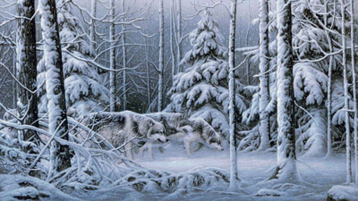 Волки - зимний пейзаж, звери, лес, зима, снег - предпросмотр
