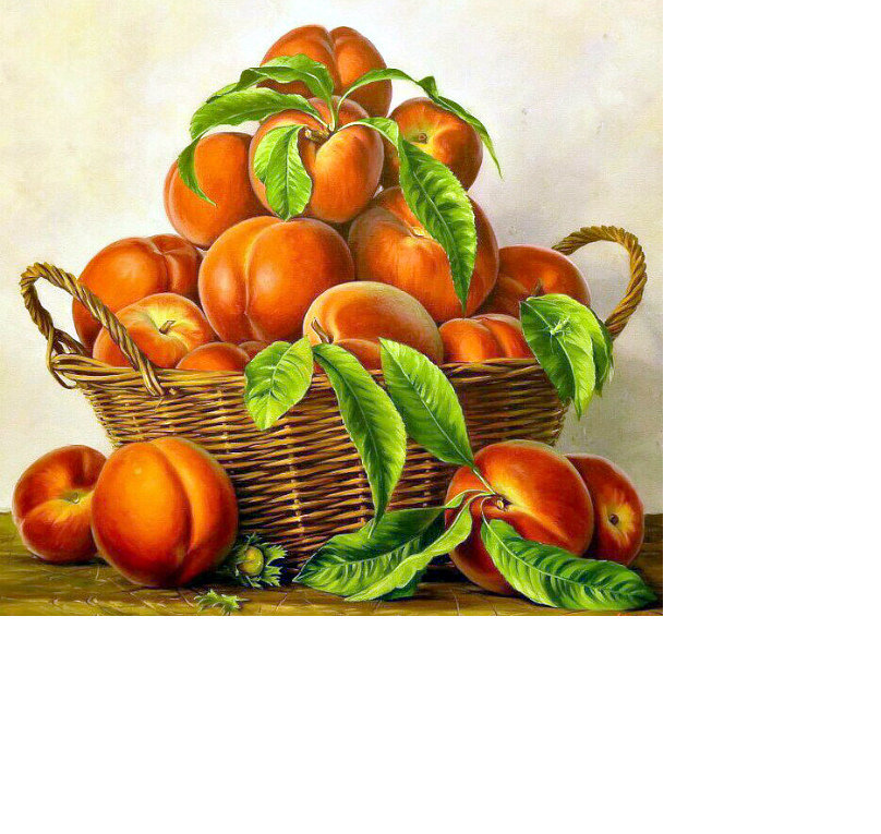 корзина с персиками - персики, фрукты, натюрморт - оригинал