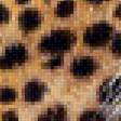 Предпросмотр схемы вышивки «Ягуары» (№1866463)