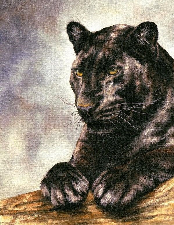 Пантера - рисунок, природа, животные, пантера - оригинал