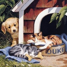 Оригинал схемы вышивки «Котята и щенок» (№1868698)
