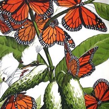 Оригинал схемы вышивки «бабочки» (№1870553)