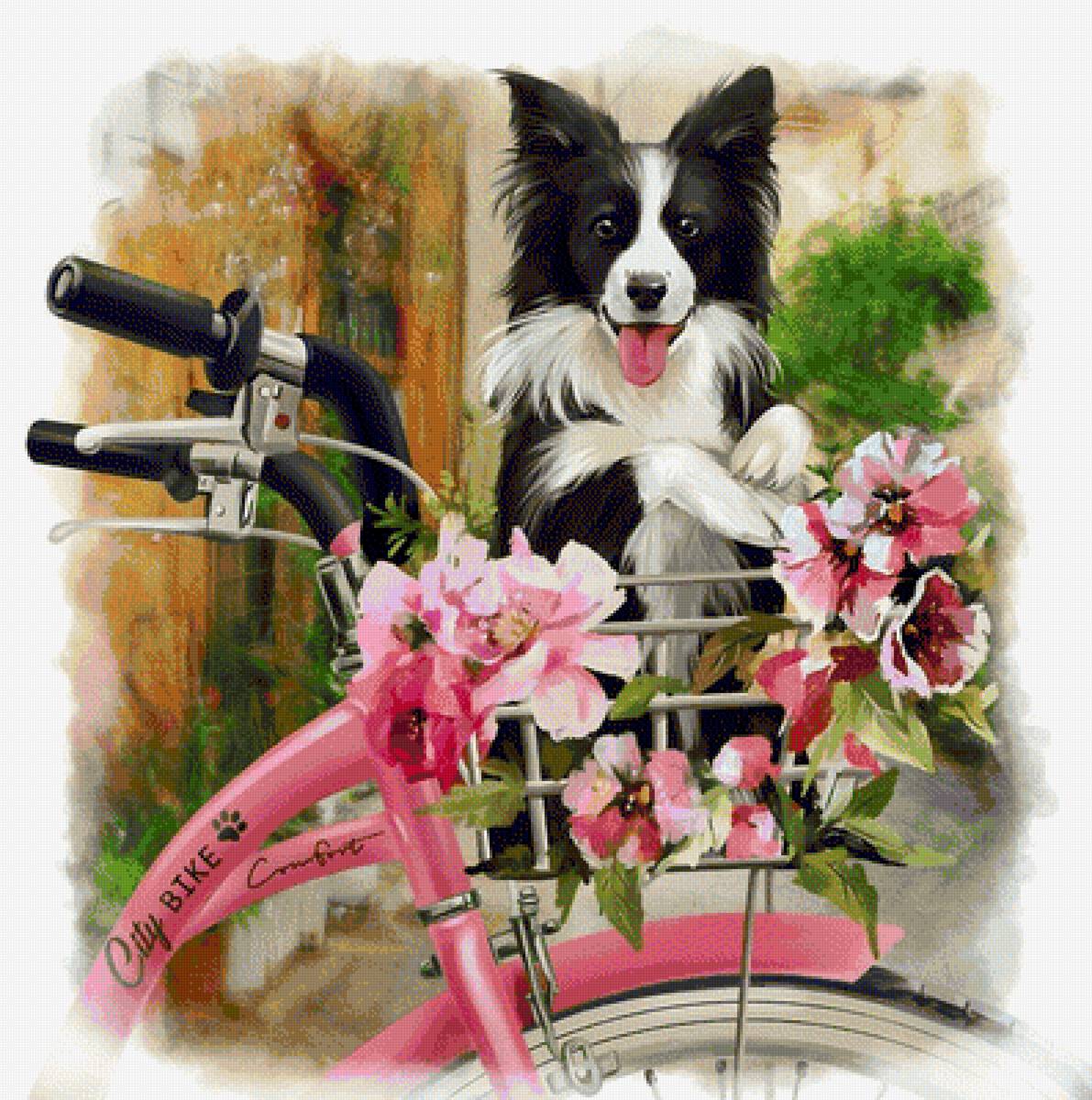 Собачка - велосипед, питомец, собака, друг, рисунок, животные, цветы - предпросмотр