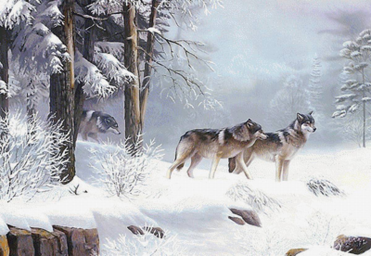волки - мир животных - предпросмотр