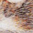 Предпросмотр схемы вышивки «Котята на сене» (№1875958)