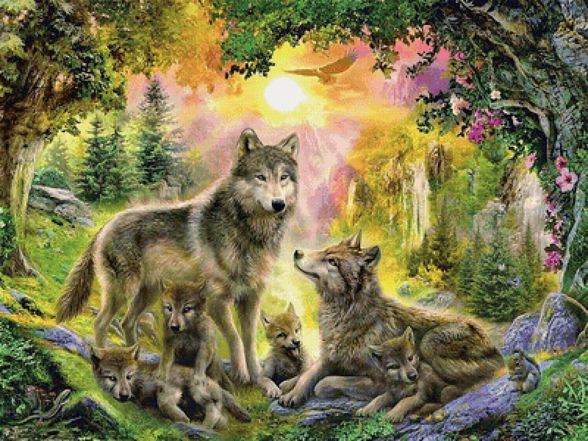 Волчье семейство - природа, волки, орел, рисунок, лес, животные, волк - предпросмотр