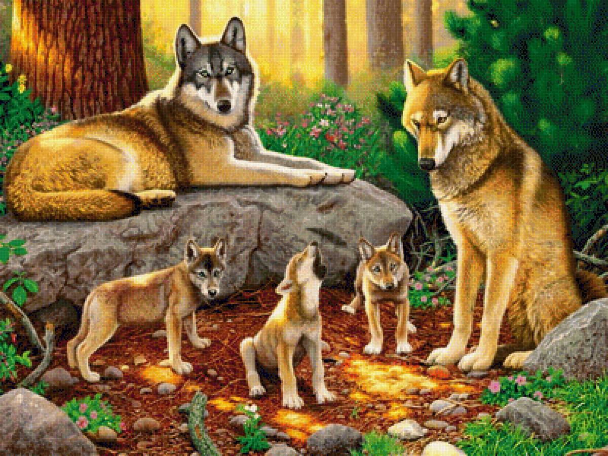 Семейство волков - волк, рисунок, природа, волки, лес, сосна, животные - предпросмотр
