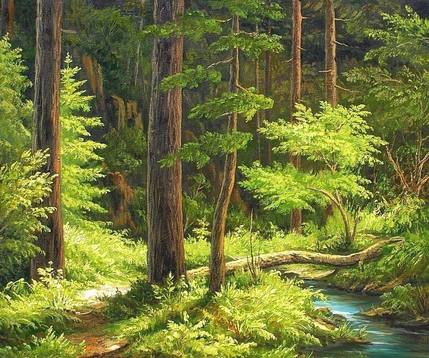 Лес 1 - природа, лес, ручей, лето - оригинал